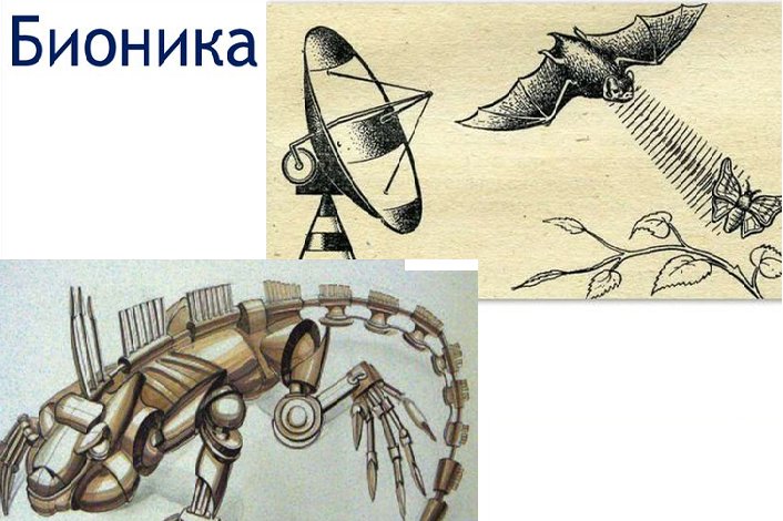 Бионика наука