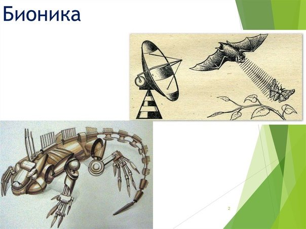 Бионика Нейробионика