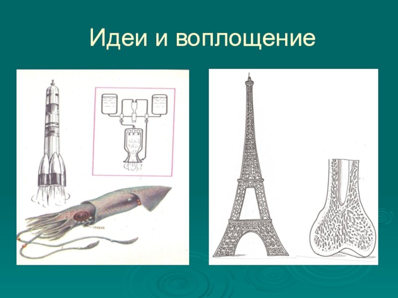 Общеморфологическая Бионика