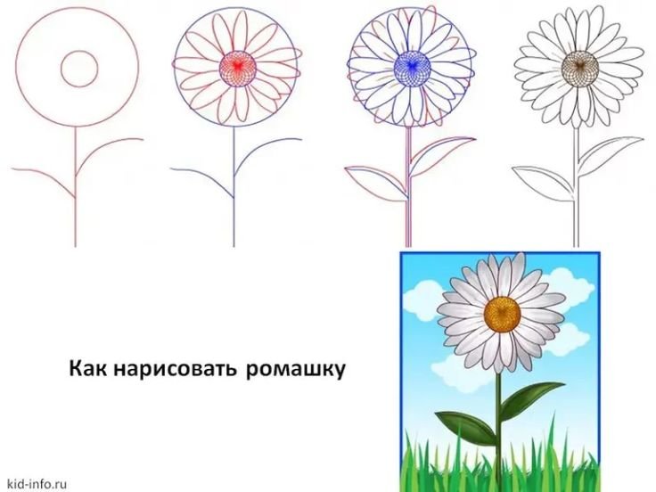 Схемы рисования цветов