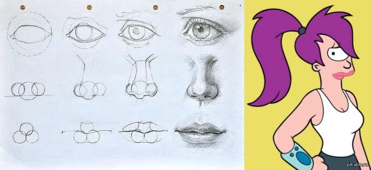 Рисунки для срисовки части лица