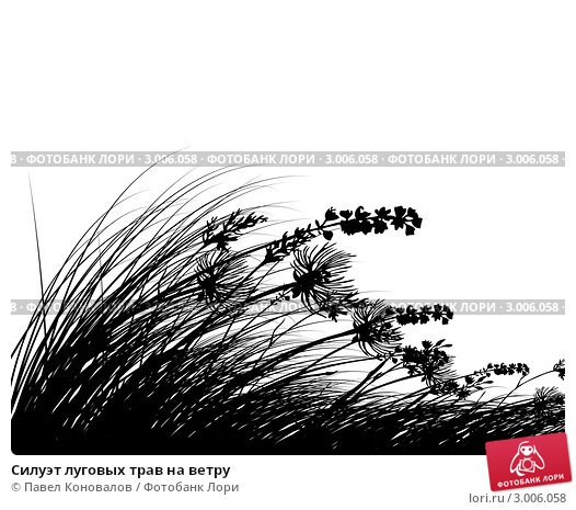 Трава Графика