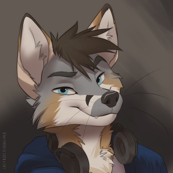 Furry scottthefox94