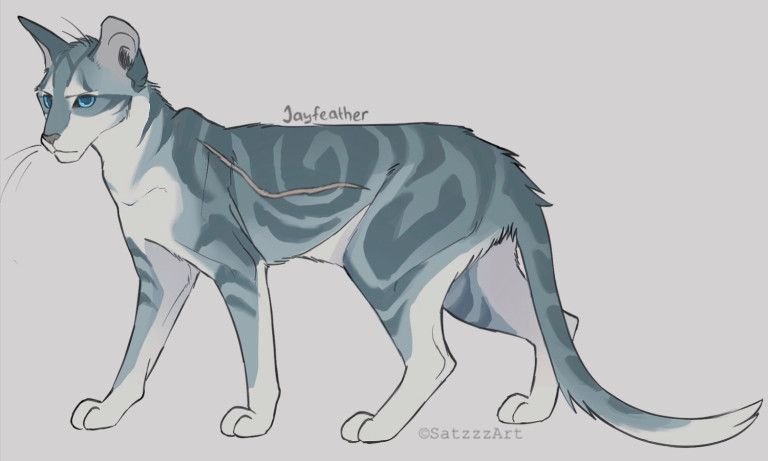 Jayfeather коты Воители