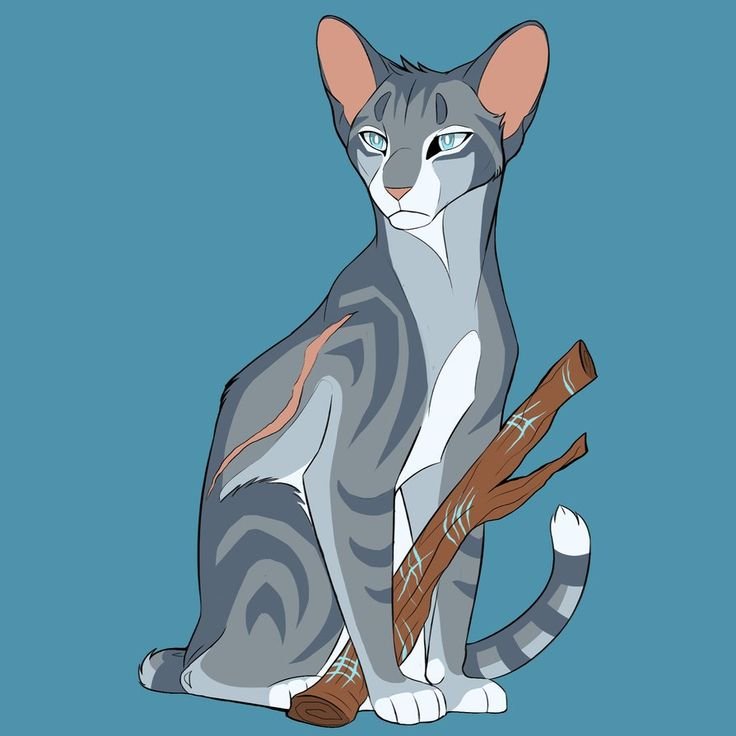 Jayfeather коты Воители