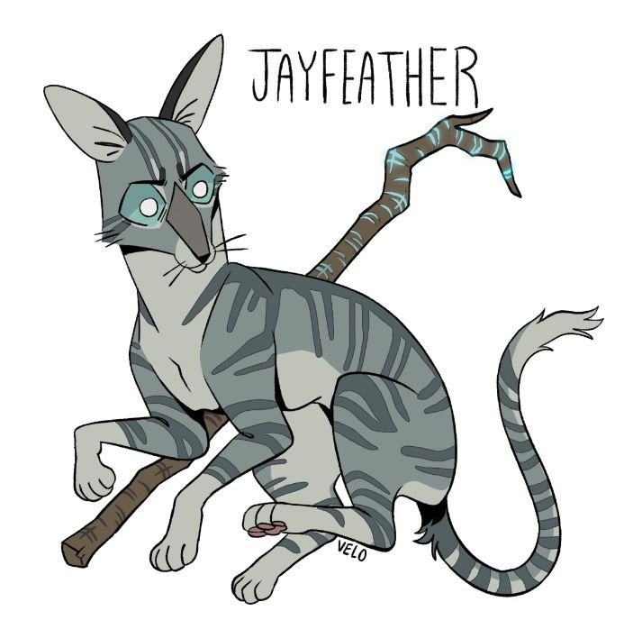Jayfeather коты Воители