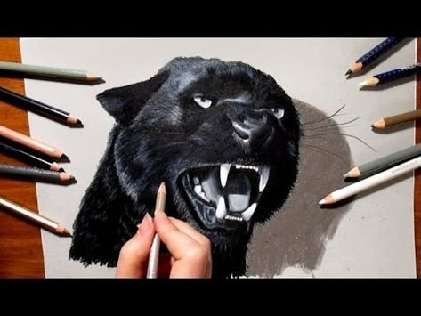 Пантера карандашами цветными