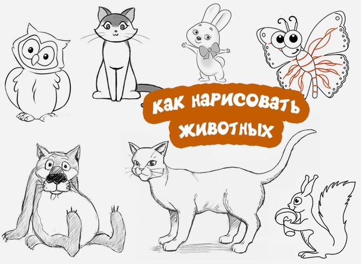 Рисунки животных
