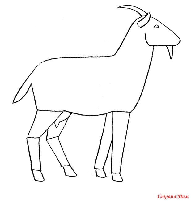 Рисование козы для детей