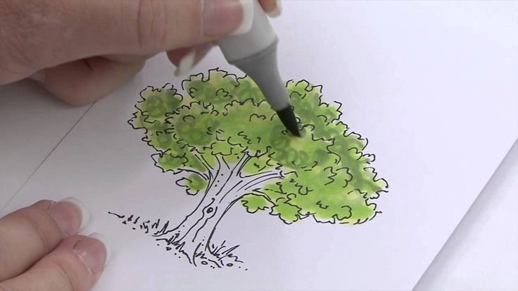 Скетчинг маркерами дерево