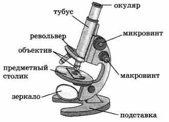 Строение микроскопа 5 класс биология