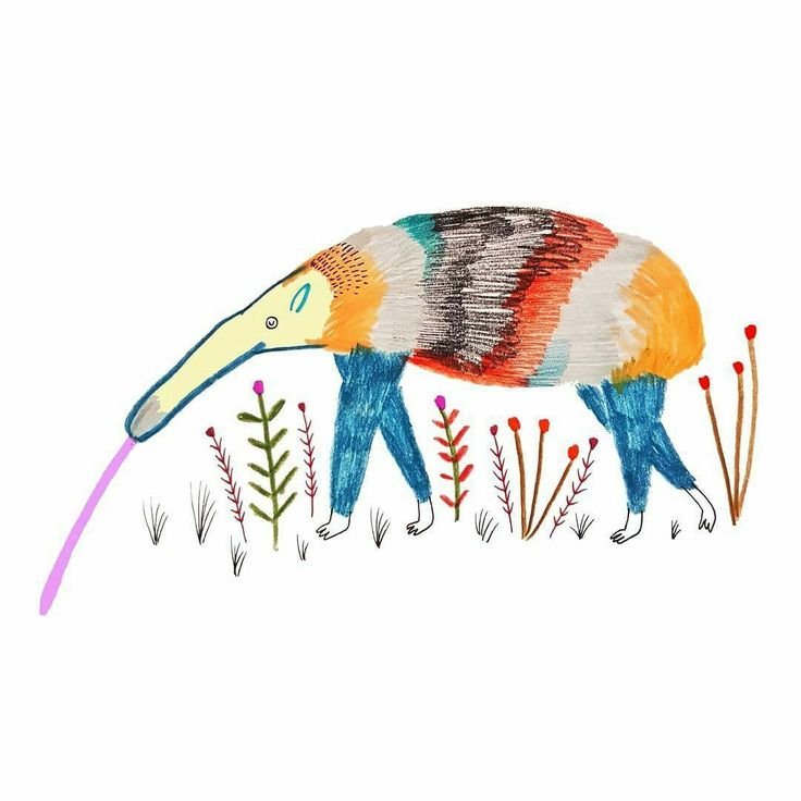 Anteater рисунок