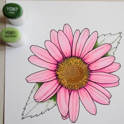 Цветы нарисованные фломастерами