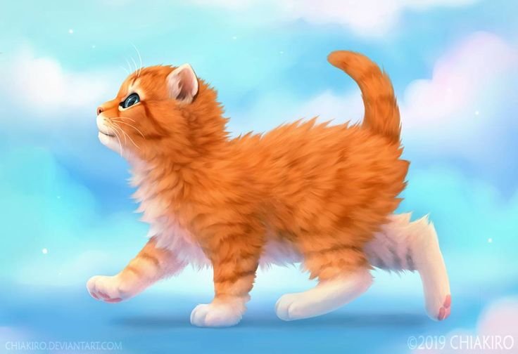 Рыжая кошка
