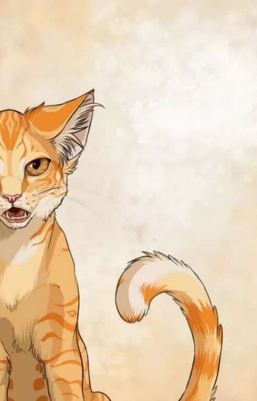 Коты Воители рыжий кот