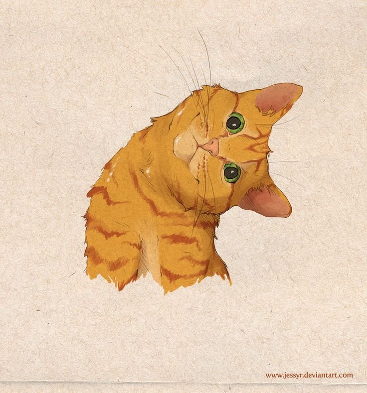 Кот арт