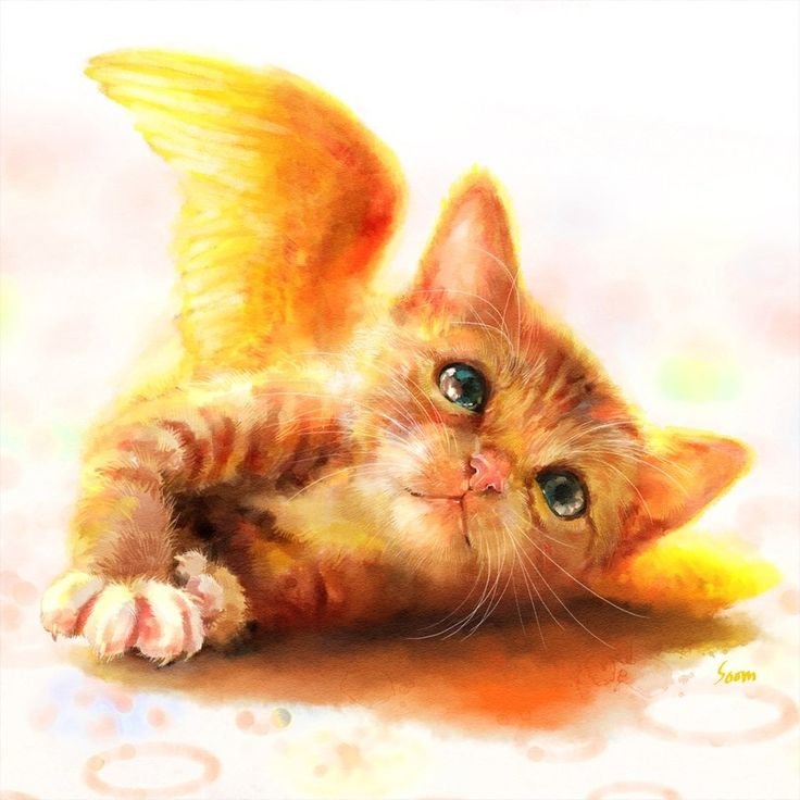 Рыжие коты