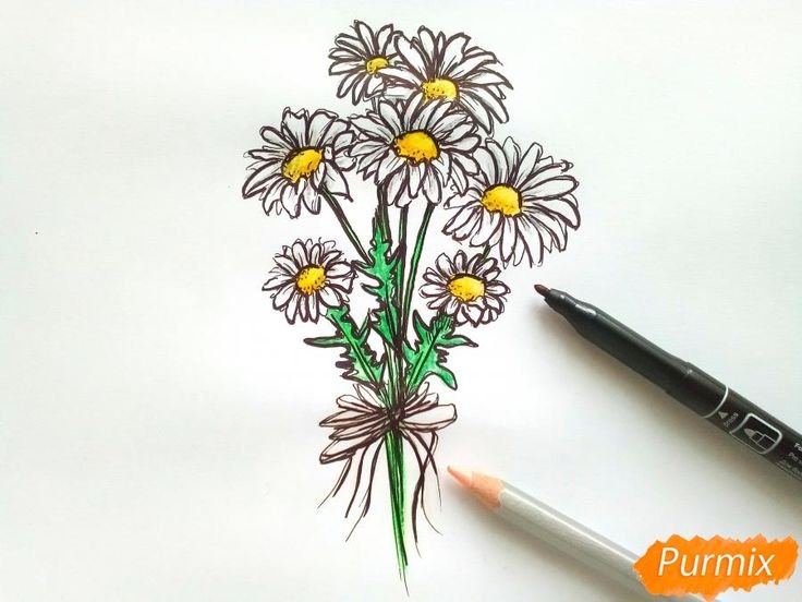 Букет ромашек