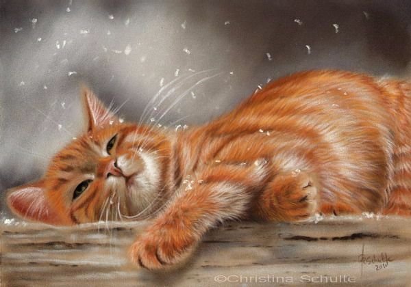 Арт рыжий котик