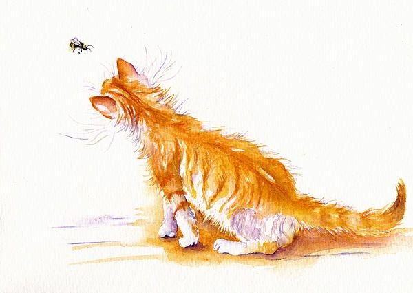Рыжий кот рисунок