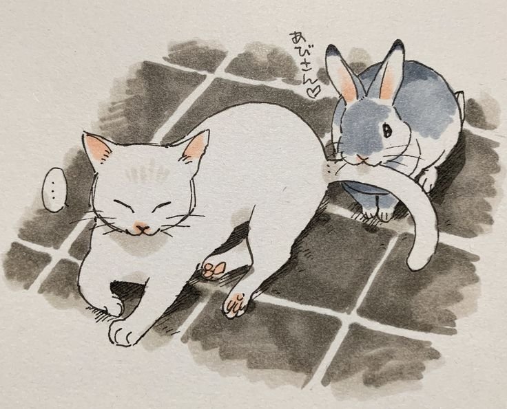 Кот и кролик