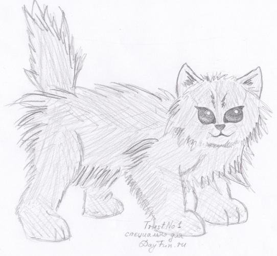Лёгкий рисунок кота боюна