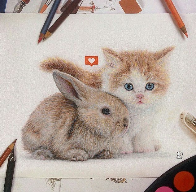 Зайчик и котик