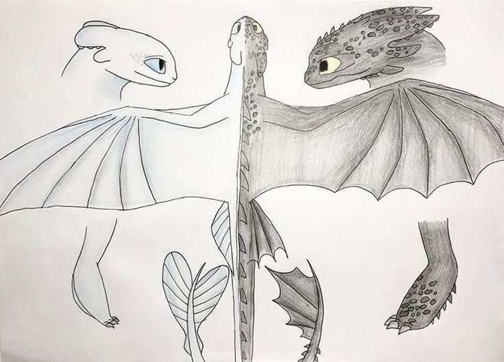 Рисунок Беззубика карандашом