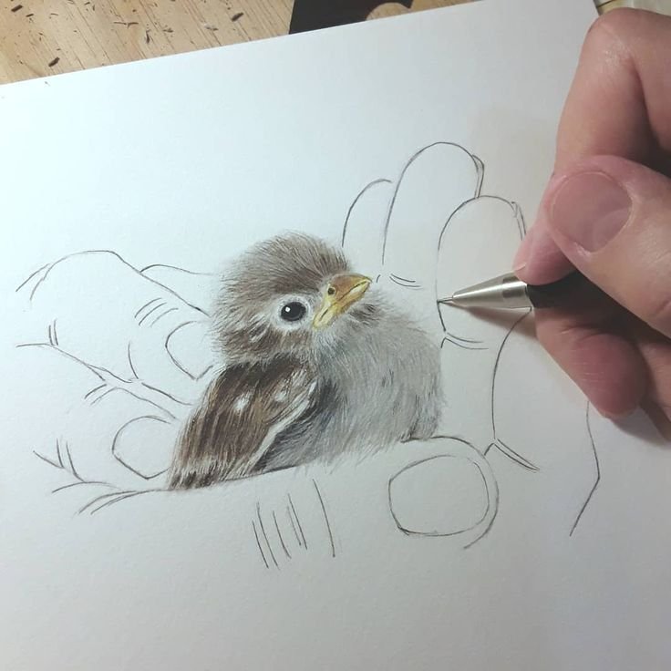 Птенец зарисовка