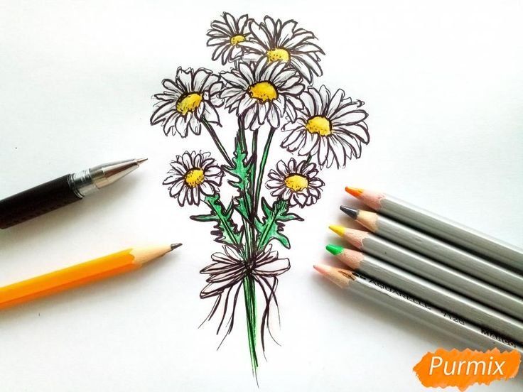 Рисование цветов карандашом