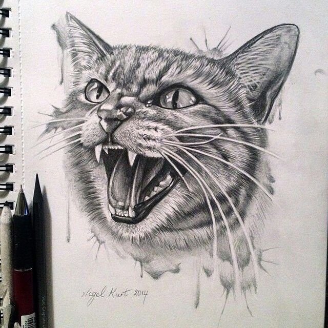 Кот тату эскиз
