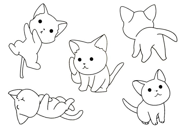 Котик раскраска для детей