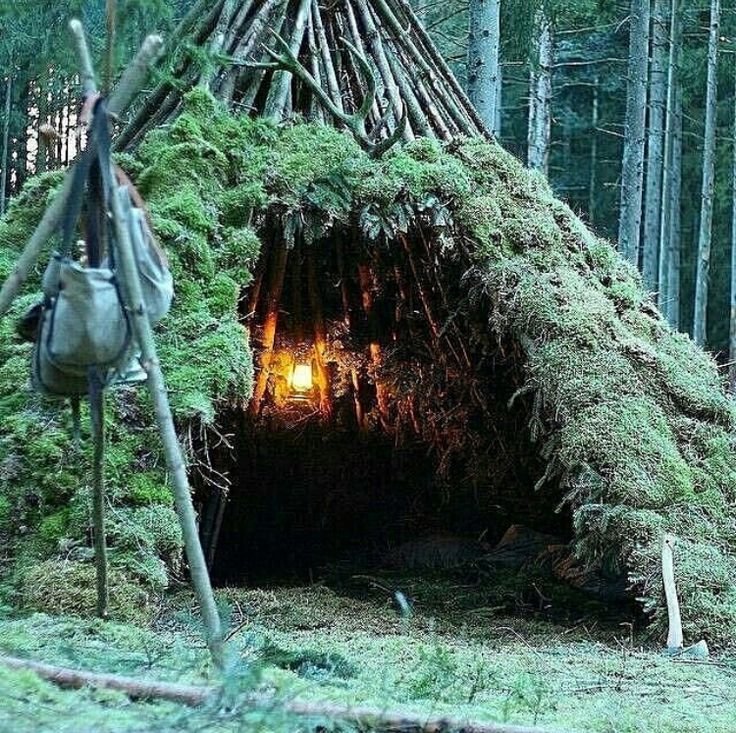 Бушкрафт шалаш