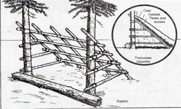 Конструкция шалаша на дереве