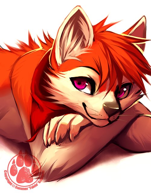 Furry falvie