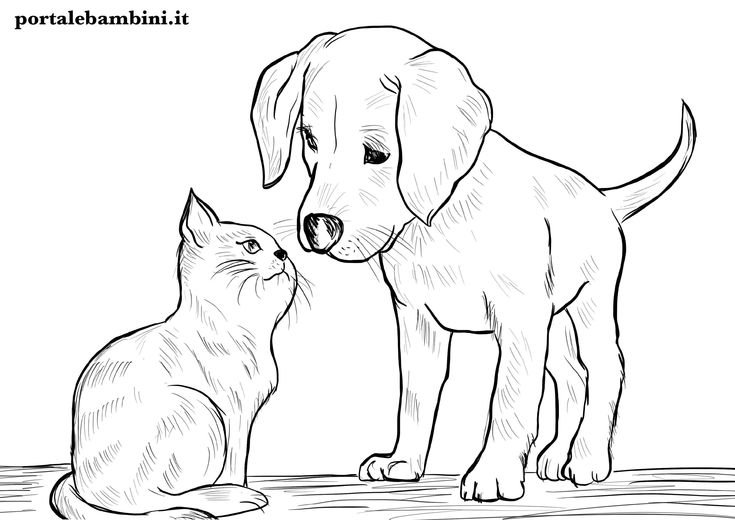 Раскраска кошка и собачка