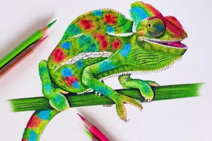 Рисунки цветные