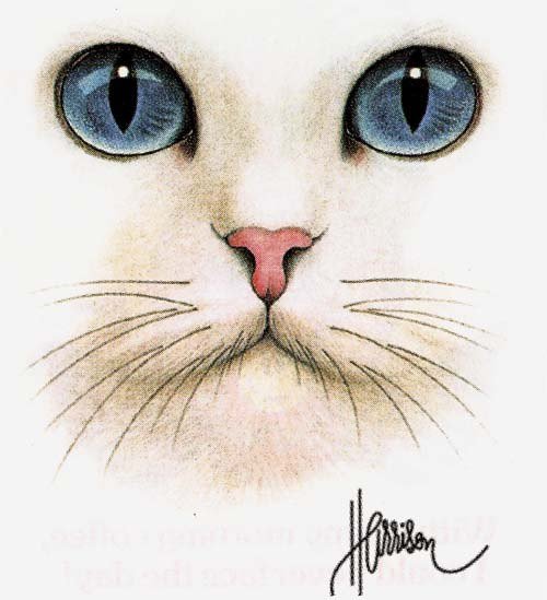 Кошачий нос нарисованный