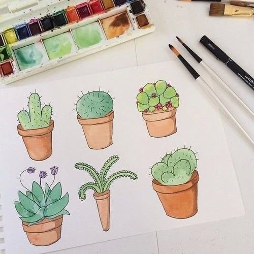 Кактусы рисунки для скетчбука