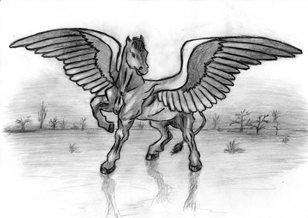 Рисовать Пегаса