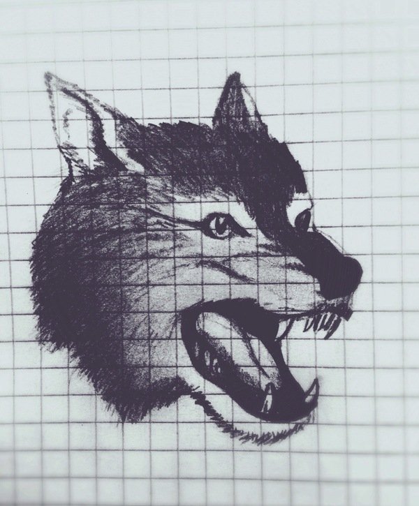 Рисунки по клеточкам волк