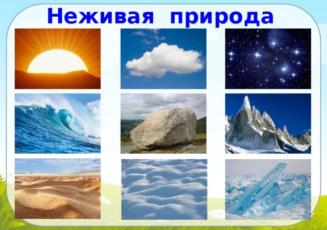Живая и неживая природа для дошкольников