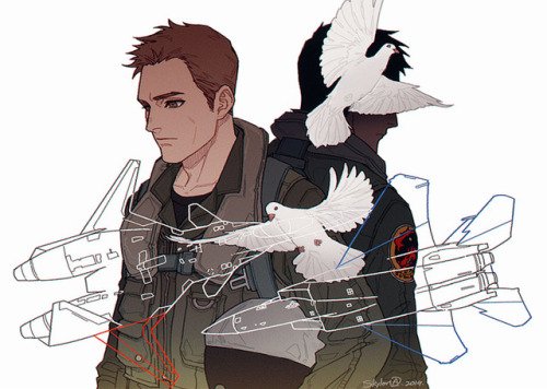 Сайфер Ace Combat