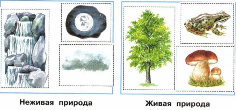 Неживая природа для дошкольников