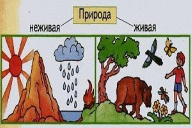 Неживая природа рисунок