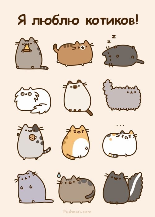 Картинки котиков для срисовки