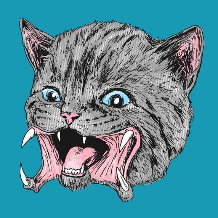Злая кошка