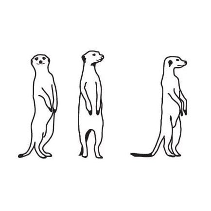 Сурикат стилизация