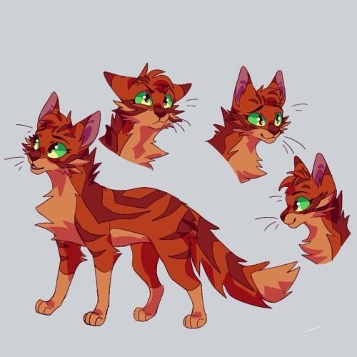 Коты Воители Огнезвёзд