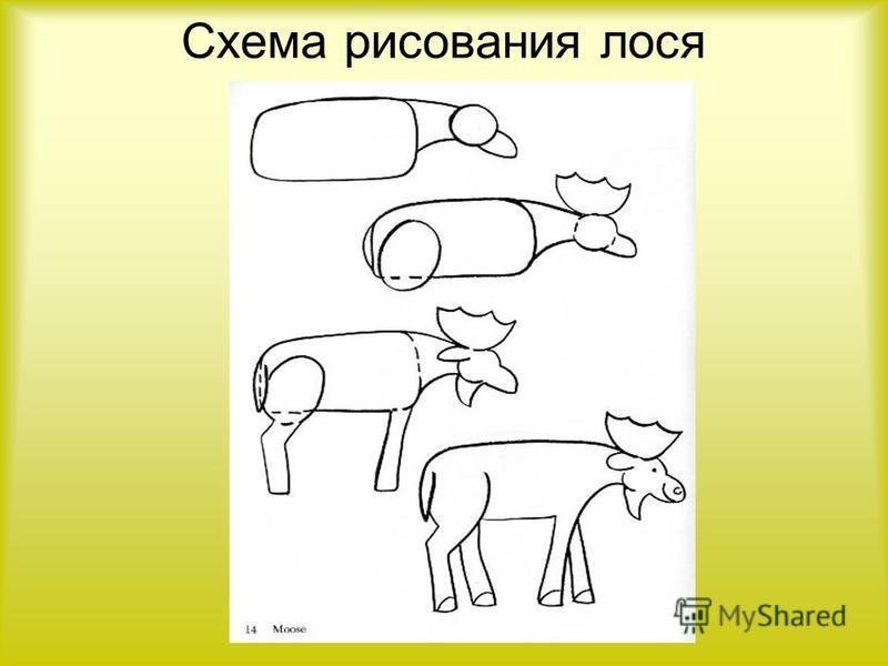Этапы рисования лося